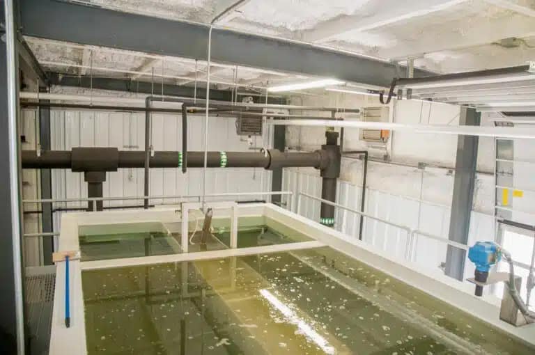 Cape Vincent Wastewater (5)