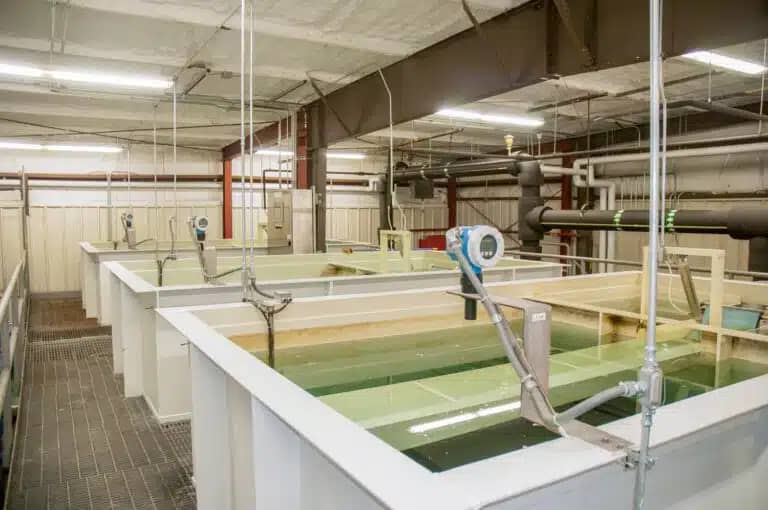 Cape Vincent Wastewater (6)